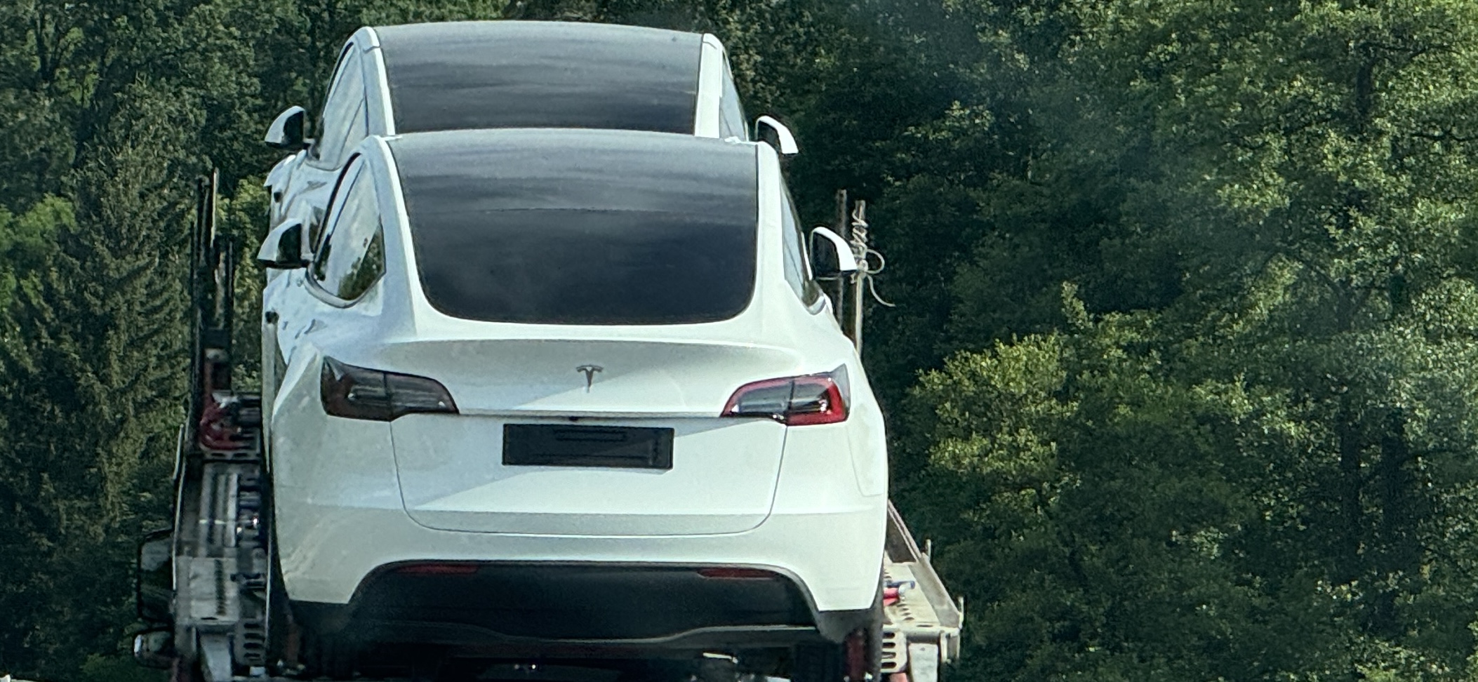 Vorzeitiger Beginn der Tesla-Erweiterung in Grünheide zugelassen