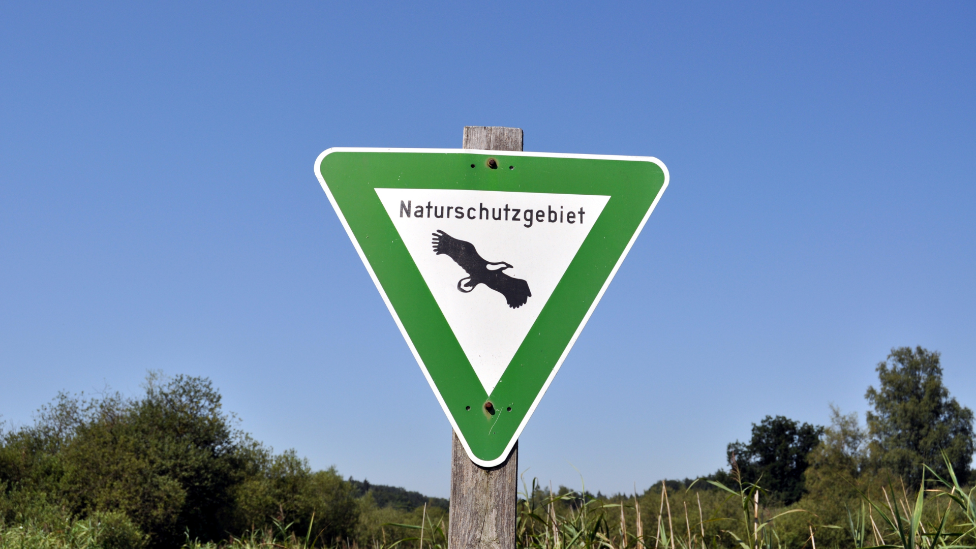 Aufruf zur ehrenamtlichen Mitarbeit im Naturschutzbeirat 