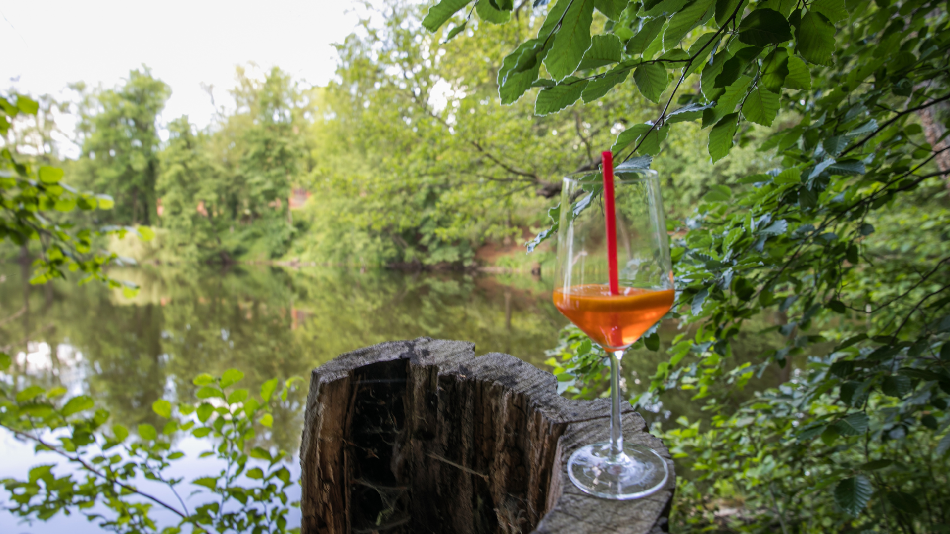 Gute Halbjahresbilanz für Tourismus in Brandenburg