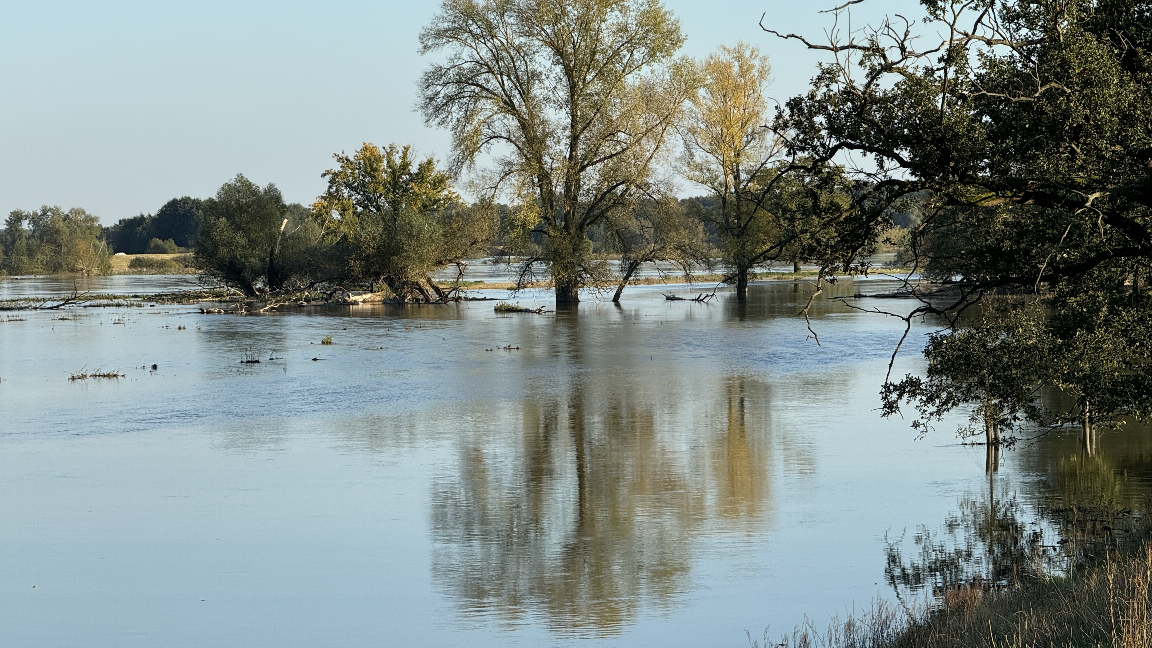 Aktuelle Hochwasserlage an der Oder in Brandenburg (26.09.2024)