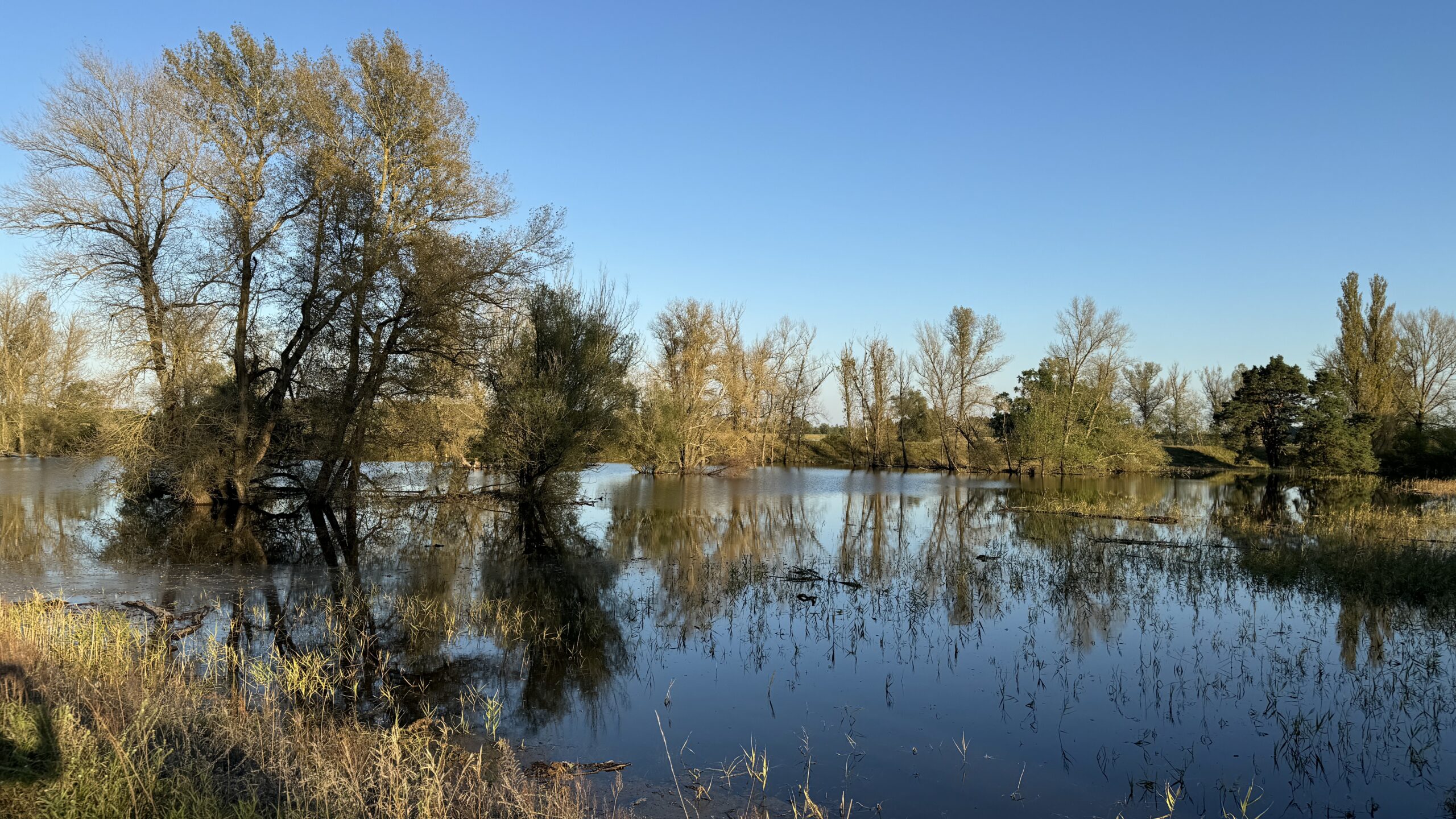 Landrat Frank Steffen hebt Alarmstufe IV in allen Hochwasserregionen im Landkreis auf