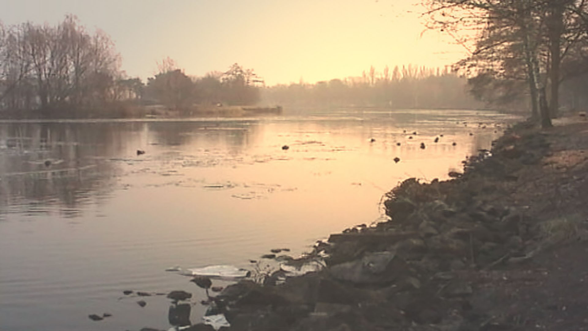 Mann im Oder Spree Kanal gesucht