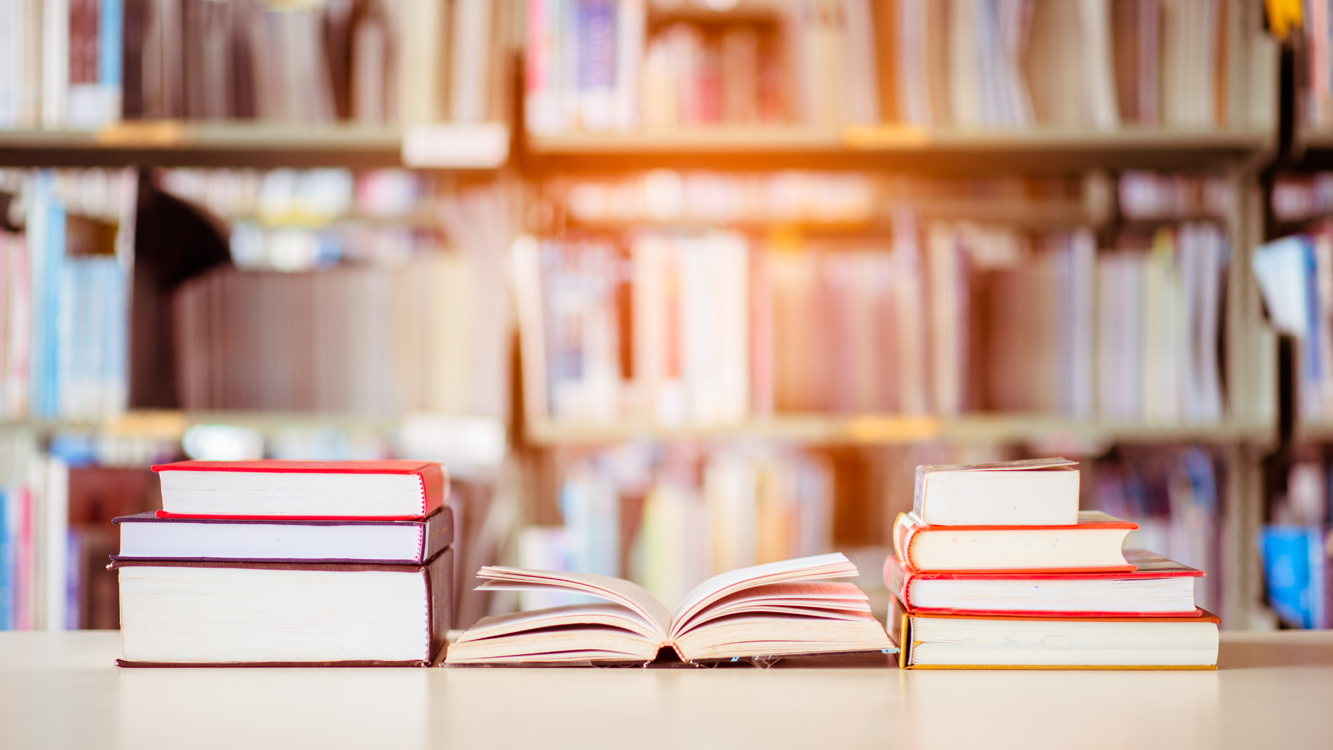 Nacht der Bibliotheken 2025 in Frankfurt (Oder) 