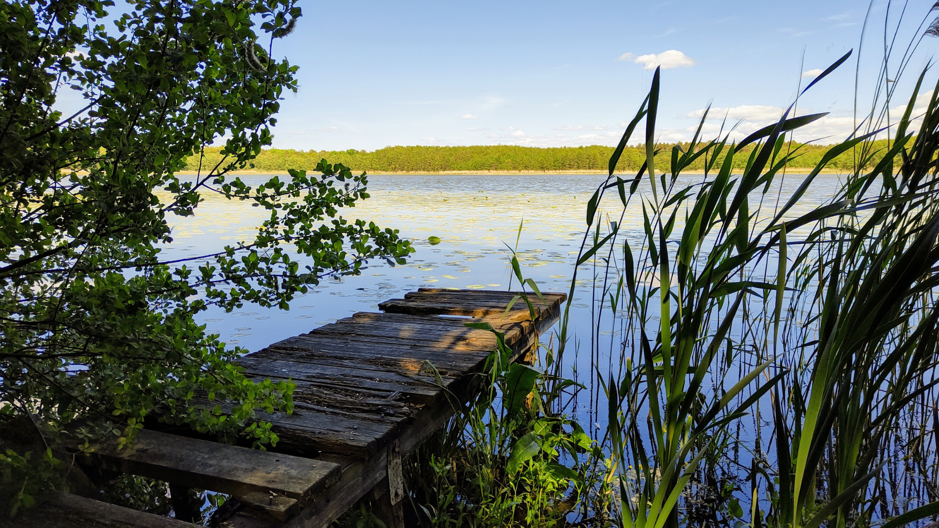 Tourismusbilanz 2024 für Brandenburg 