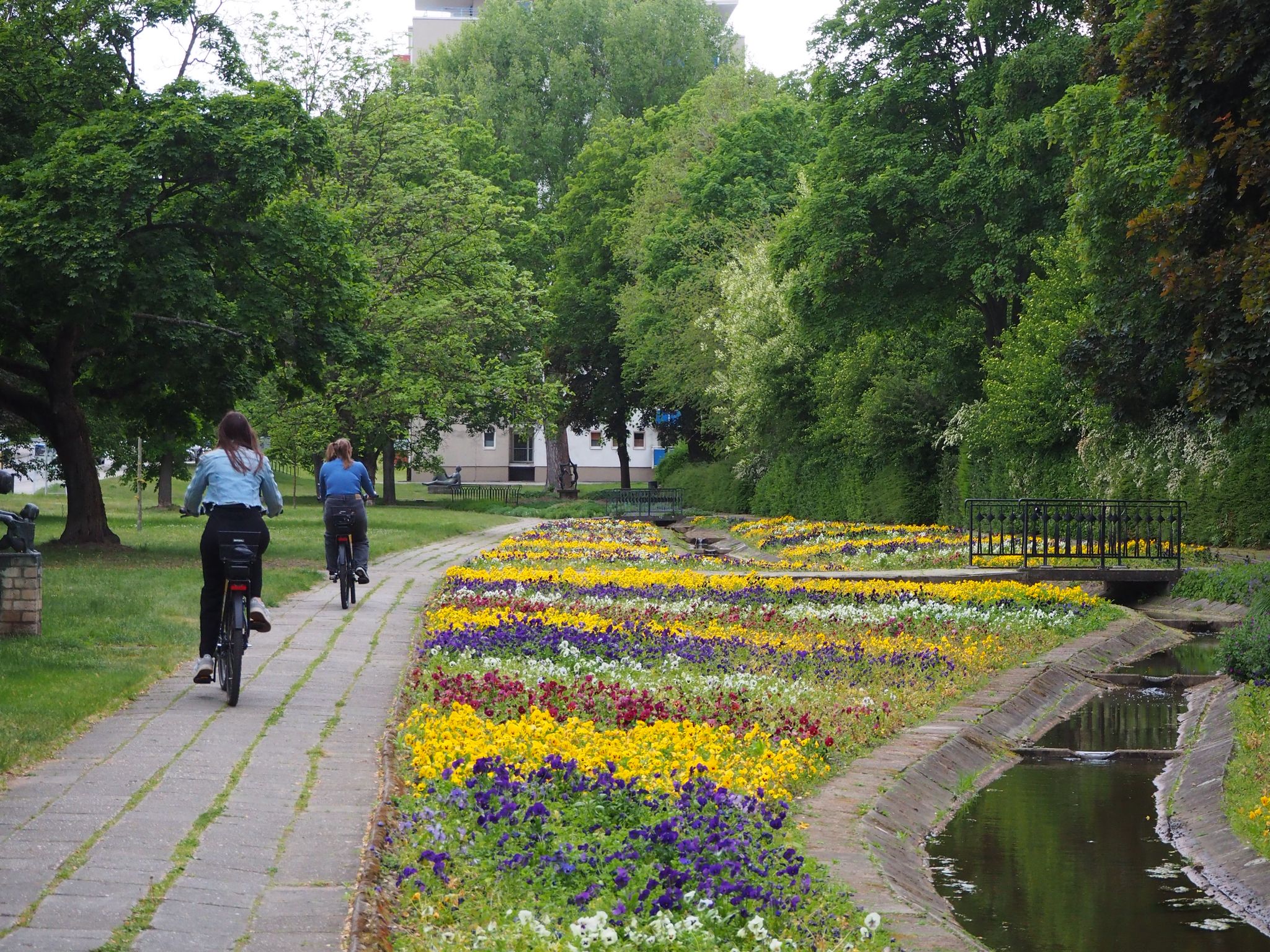 STADTRADELN  2025 Eisenhüttenstadt