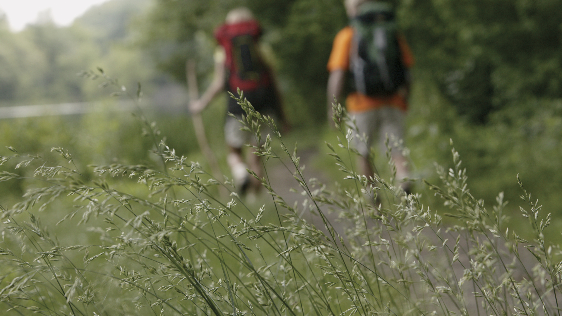 „Auf den Spuren des Bistums Lebus“ am 9. Mai