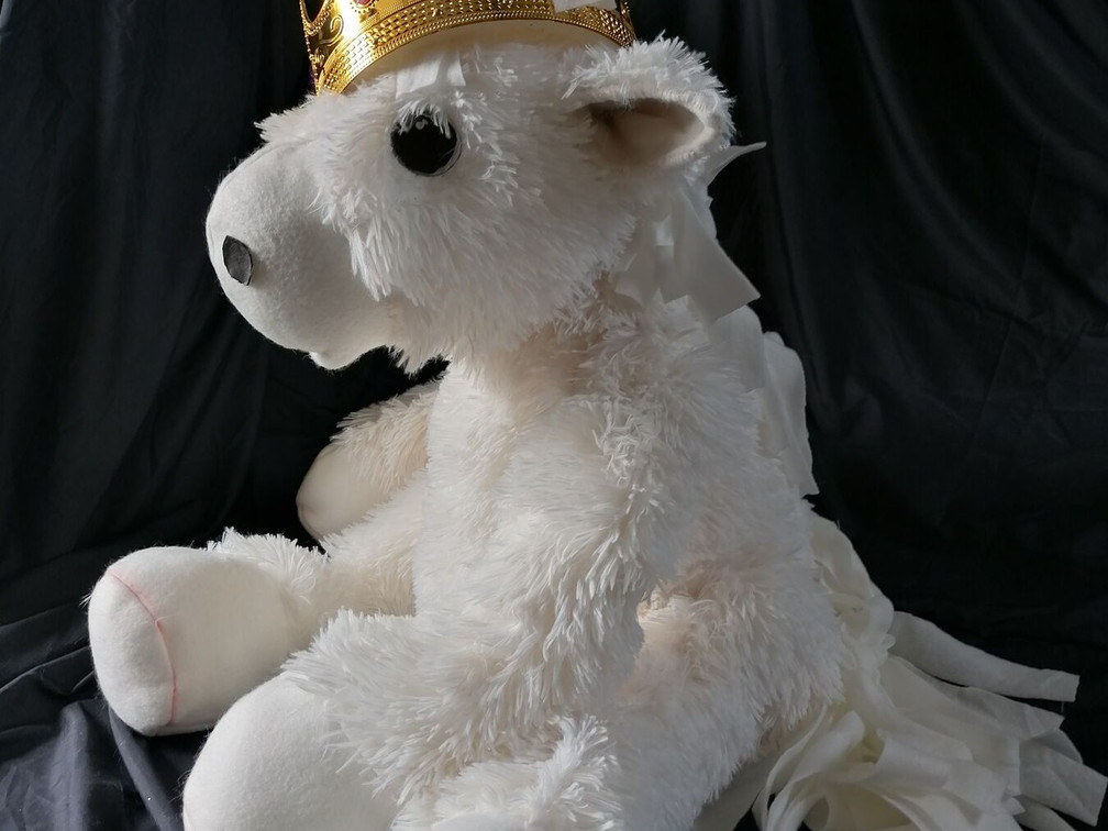 Kinderoper „Das kleine weiße Pony“ in Müllrose – Ein musikalisches Abenteuer für die ganze Familie