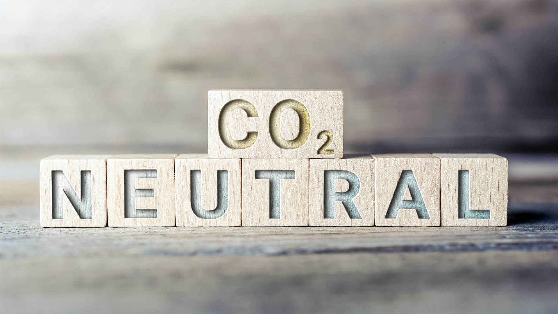 Klimareise des Klimabündnisses: Besuch in Frankfurt (Oder)