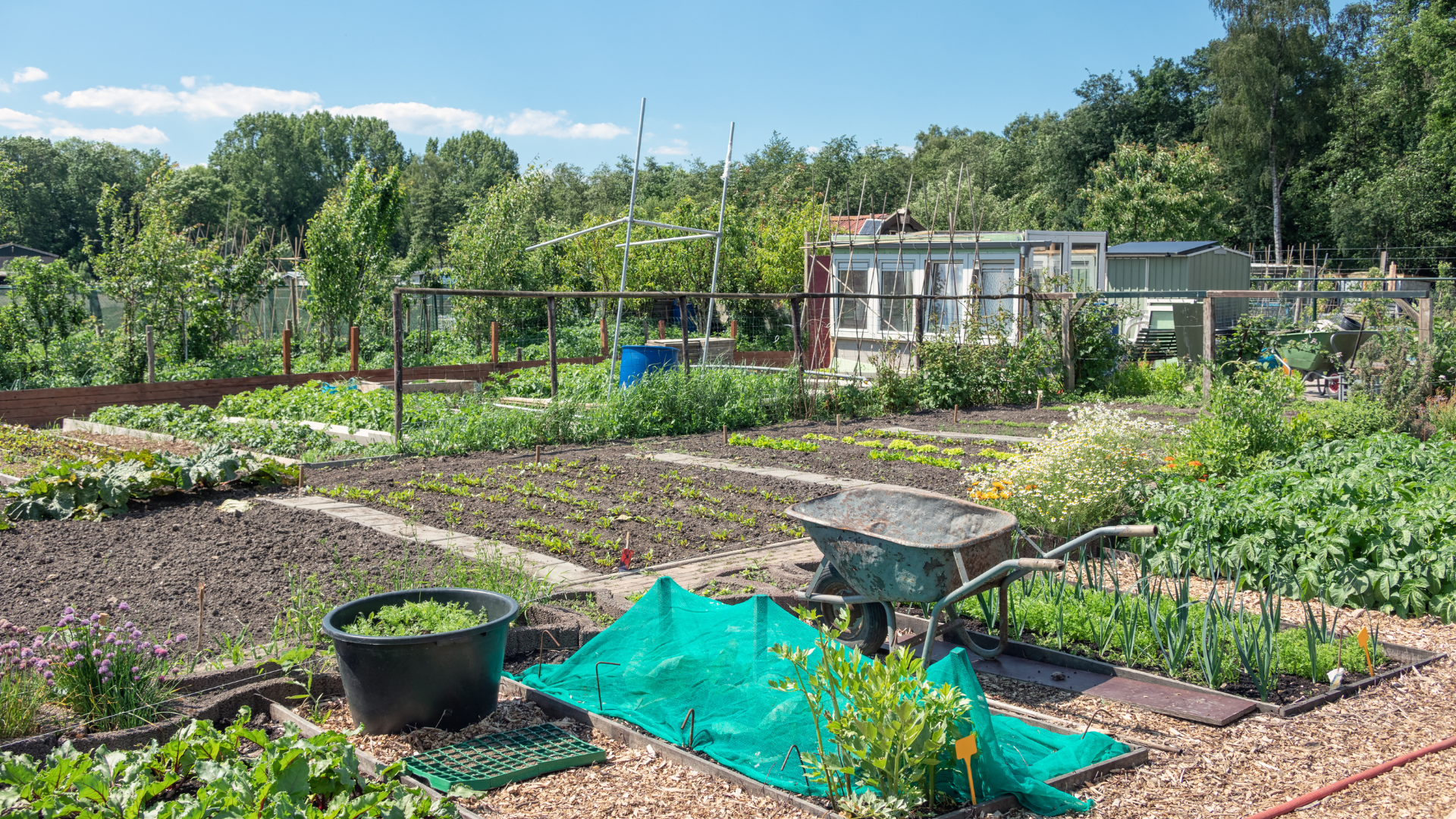 Was Kleingärtner zur Grundsteuer wissen sollten