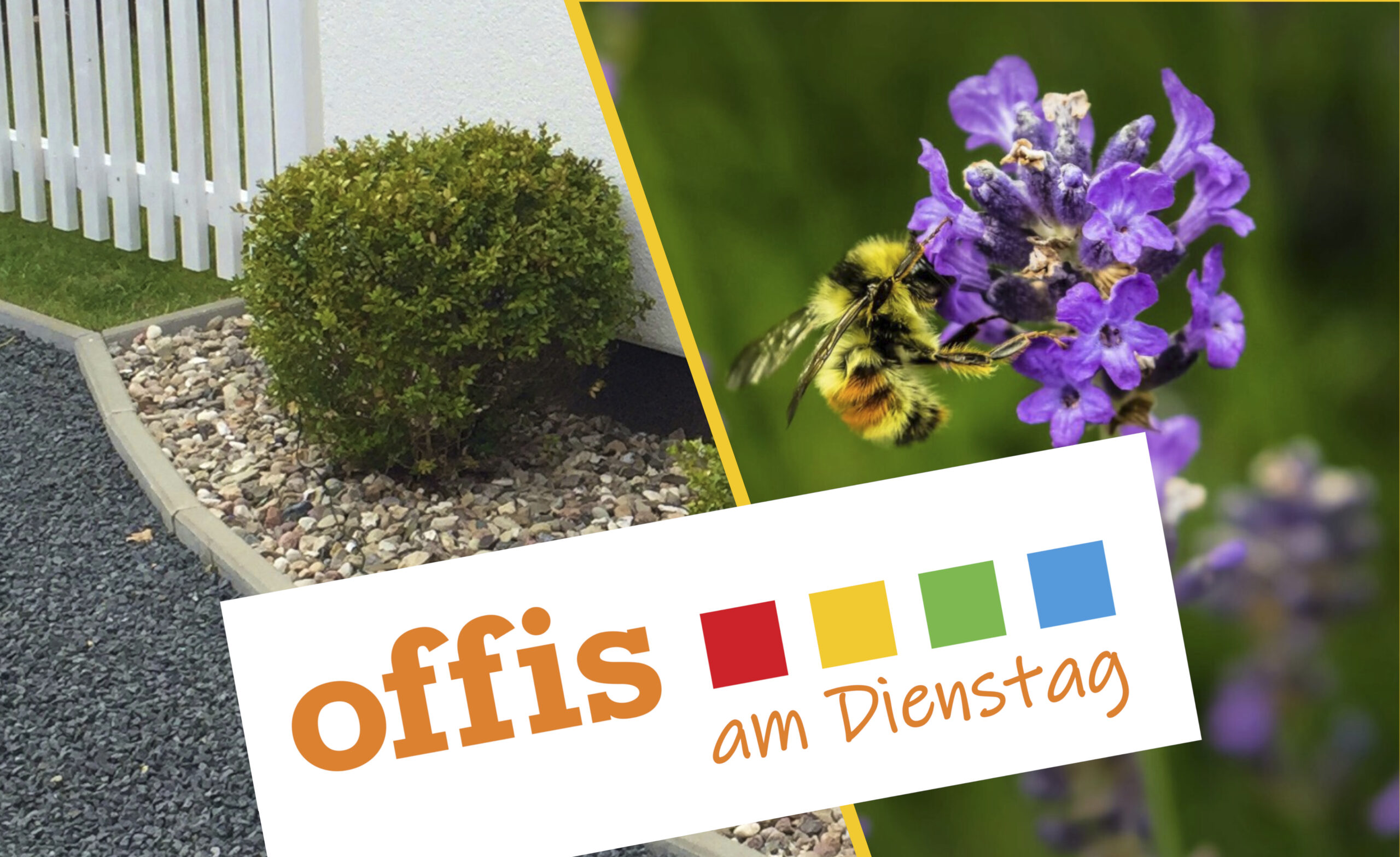 Informationsveranstaltung: Insekten- und klimafreundliche Gärten
