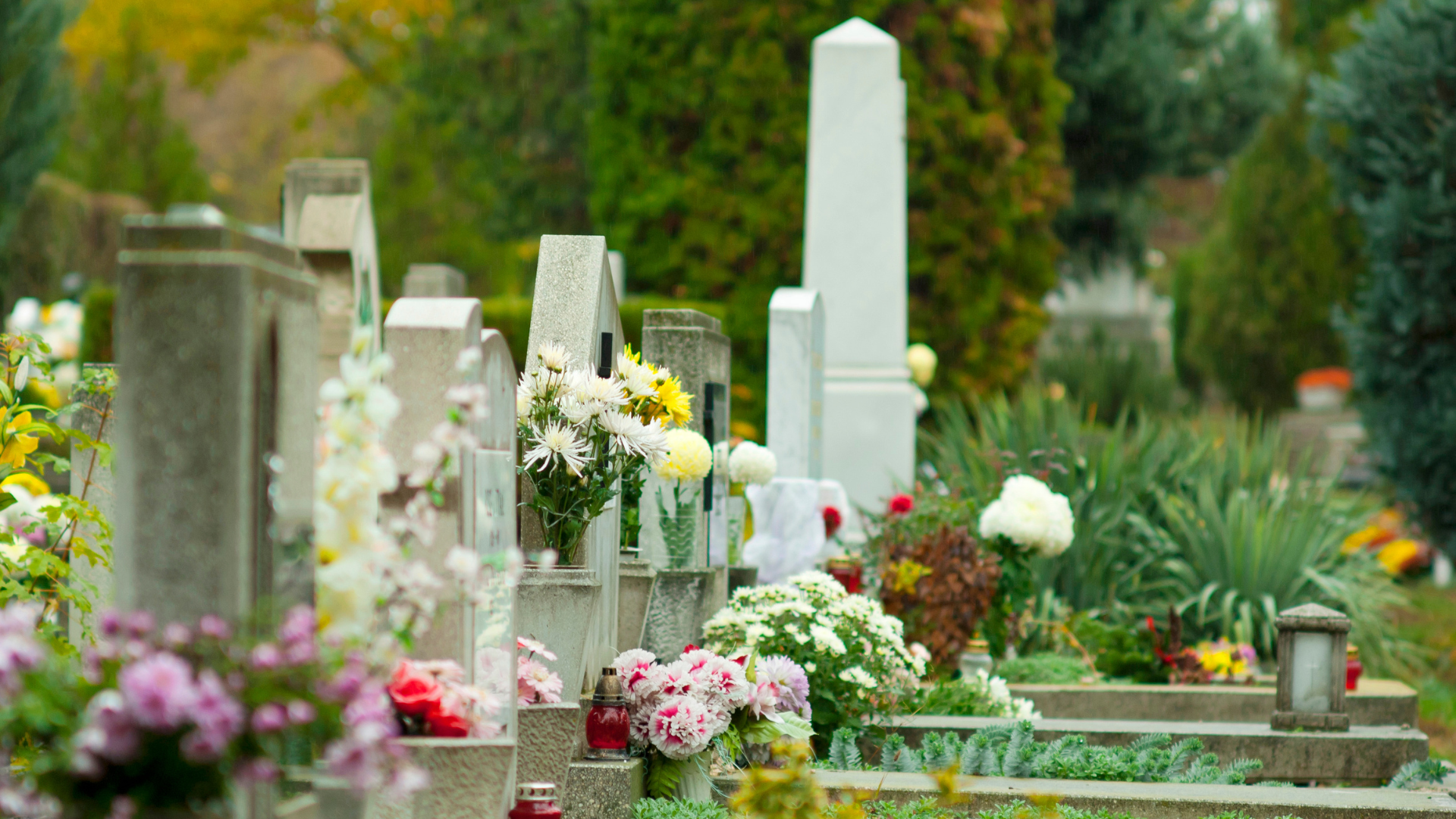 Friedhof Frankfurt (Oder) für Besucherverkehr  wieder freigegeben