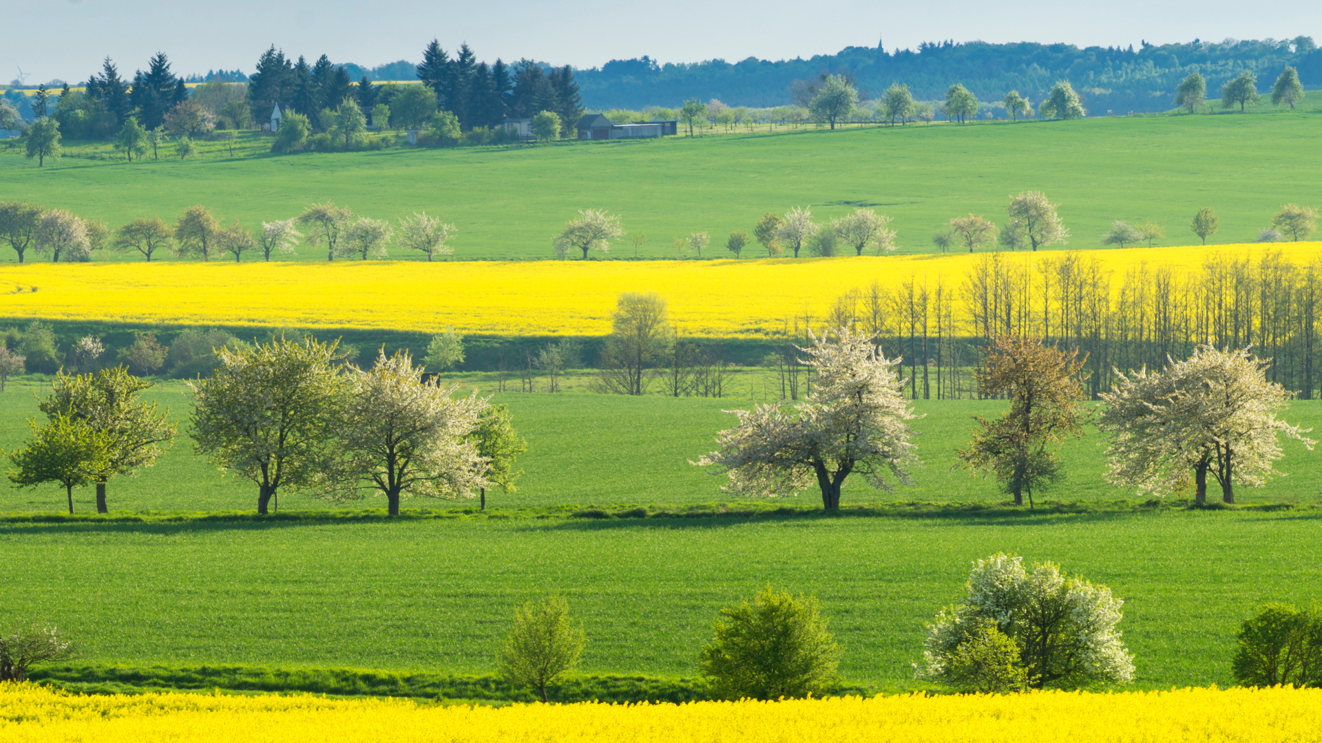 Brandenburg beendet Sonderweg beim naturschutzrechtlichen Vorkaufsrecht