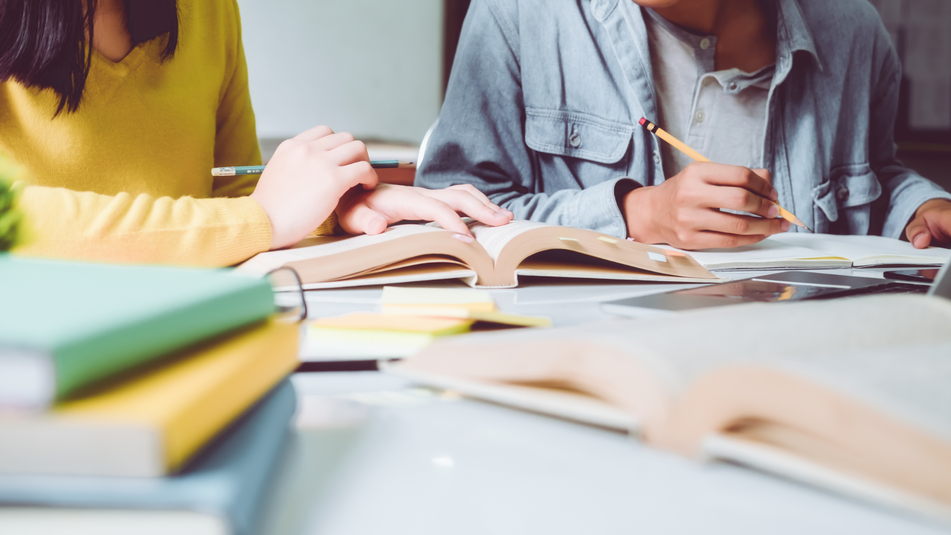 Zehn Jahre im Dienst der Bildung: Grundbildungszentrum Frankfurt (Oder) feiert Jubiläum