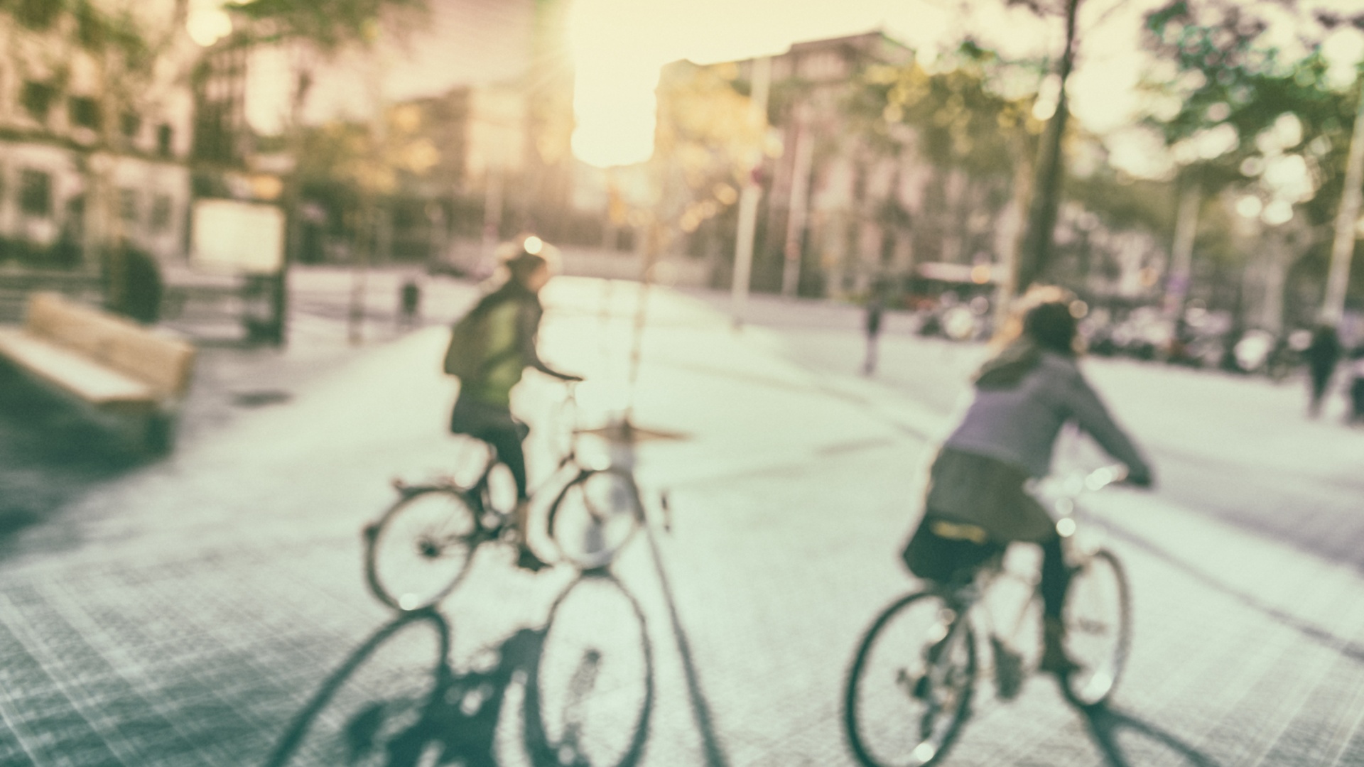 Frankfurt (Oder): Kunstradtour beim STADTRADELN