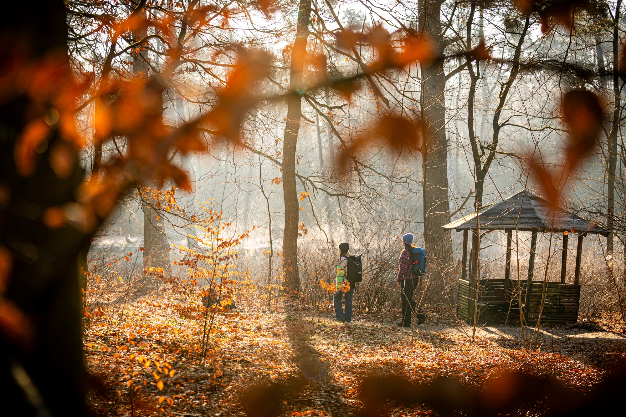 Herbstferien im Seenland Oder-Spree