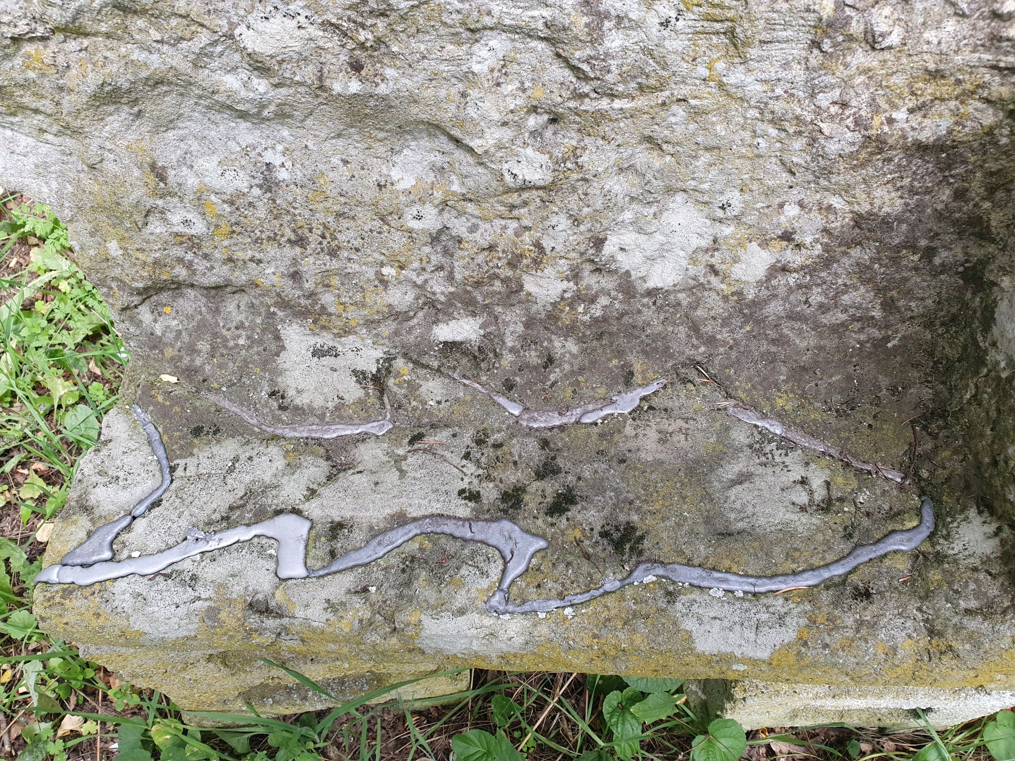 Ausstellung auf Burg Beeskow: Ehrhard Thoms erkundet die Beziehung von Tier und Mensch