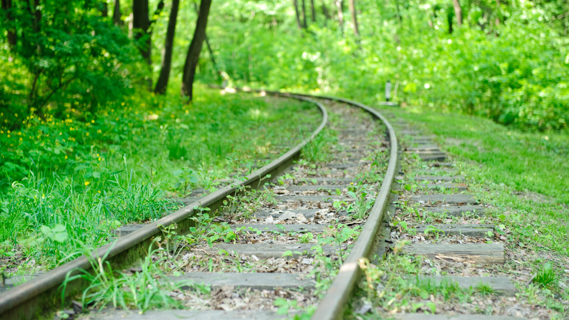 Brandenburg prüft Reaktivierung stillgelegter Bahnstrecken