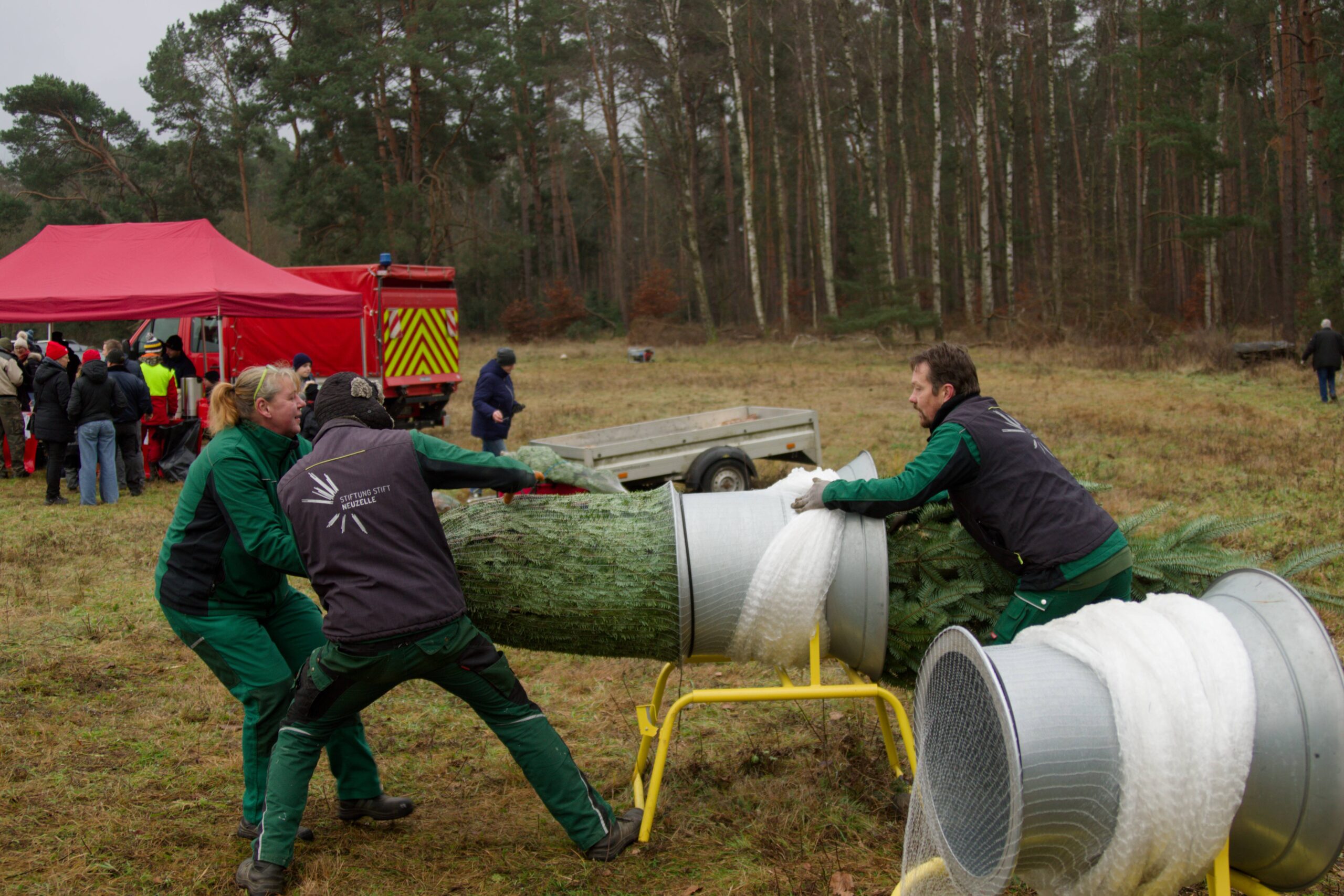 Weihnachtsbaumschlagen am Treppelpflaster: Tradition trifft Regionalität