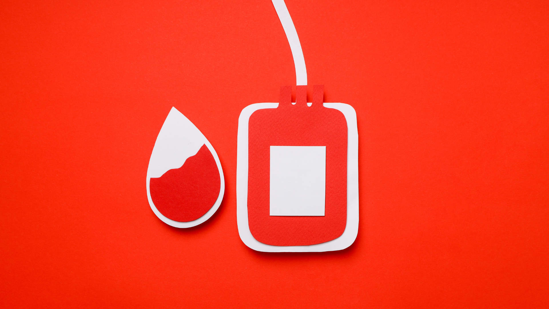 Kritische Blutreserven in Brandenburg: DRK ruft zu Spenden auf