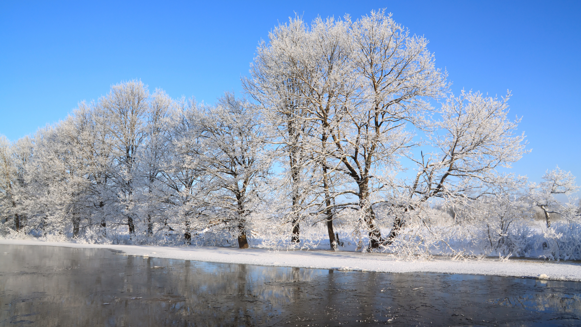 Vorsorgliche Maßnahmen wegen erwartetem Pegelanstieg der Oder