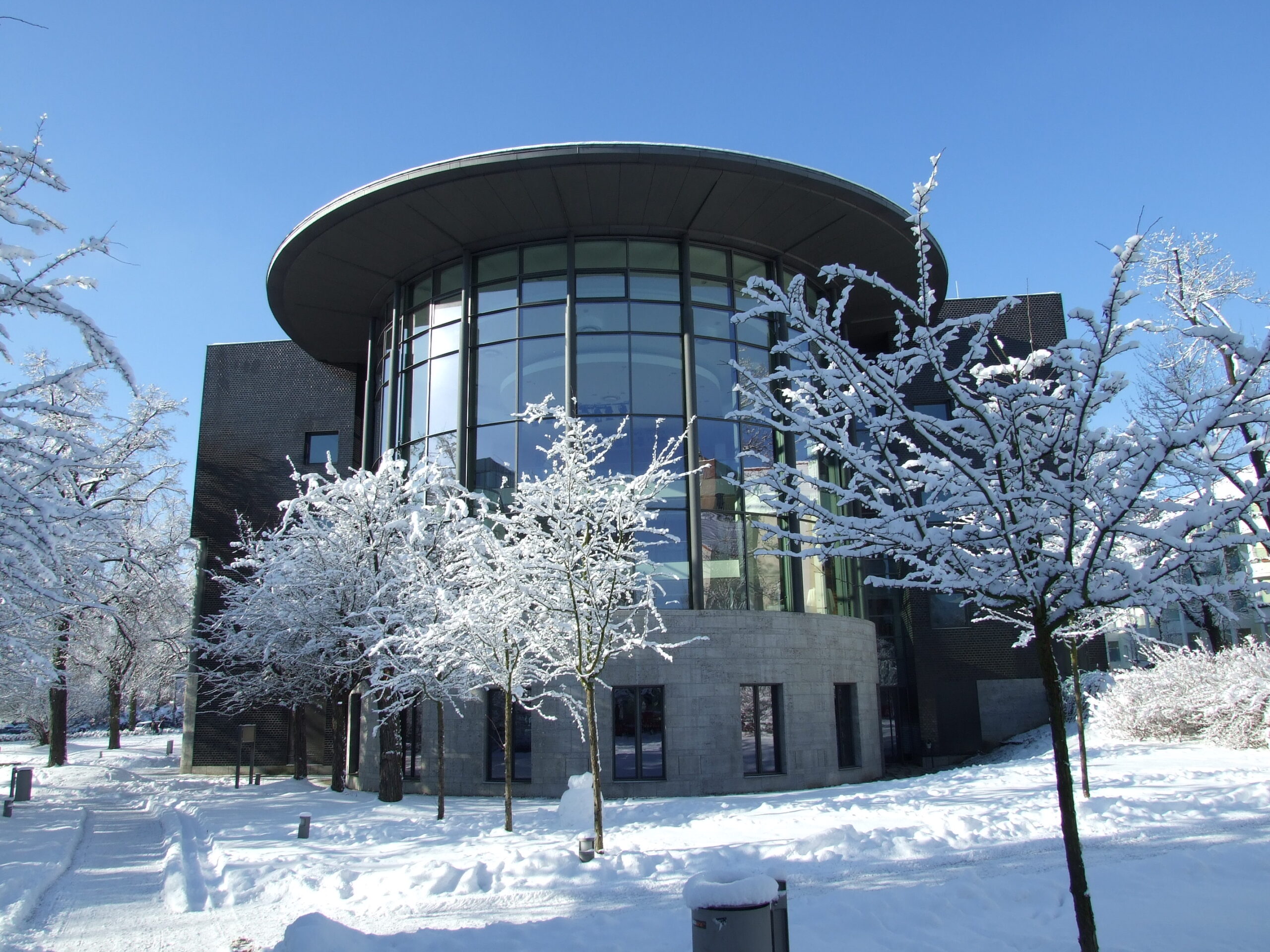 Kleist Forum Frankfurt feiert Besucherrekord: Fast 50.000 Gäste in 2025