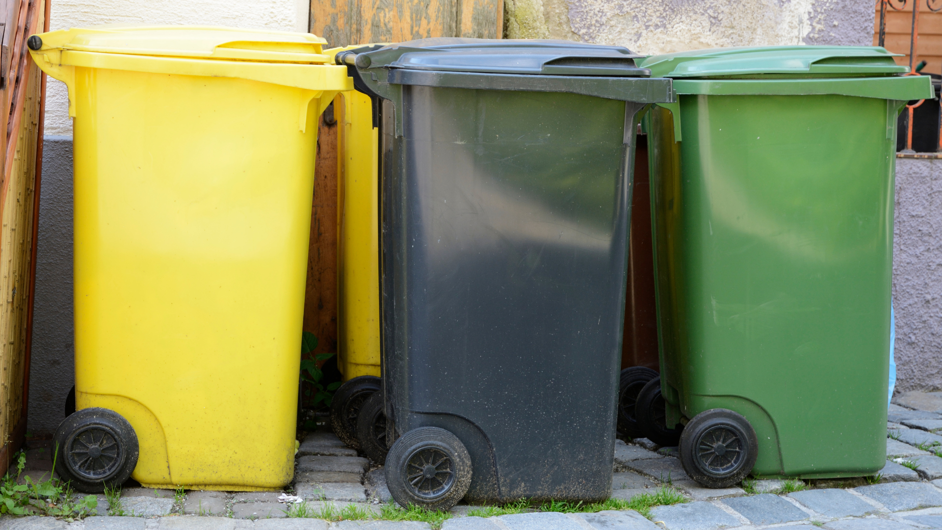 Brandenburg: Weniger illegale Abfälle, mehr Biomüll-Trennung