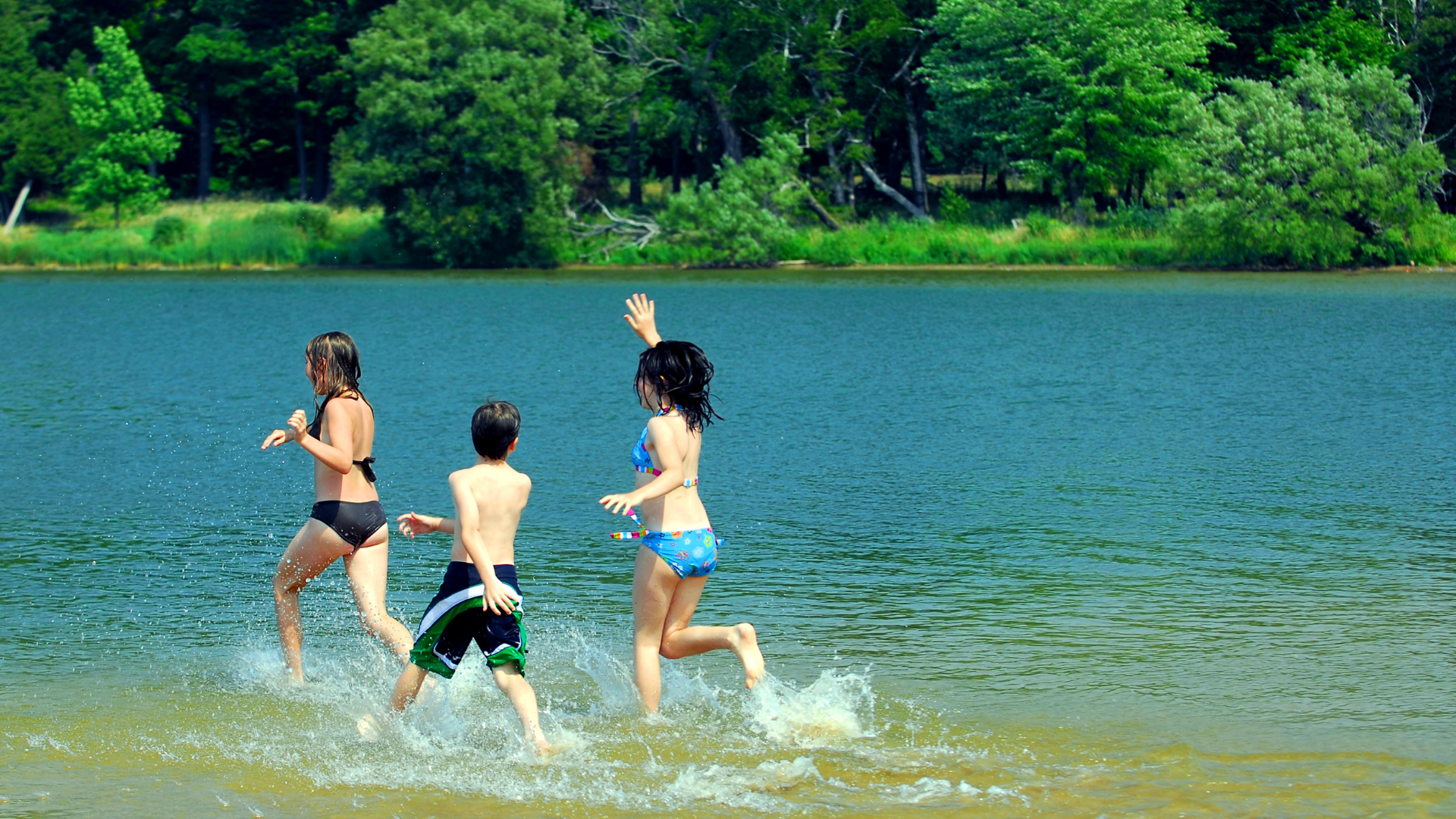 Welche Badeseen kommen 2026 aufs Programm? Landkreis Oder-Spree bittet um Ihre Meinung