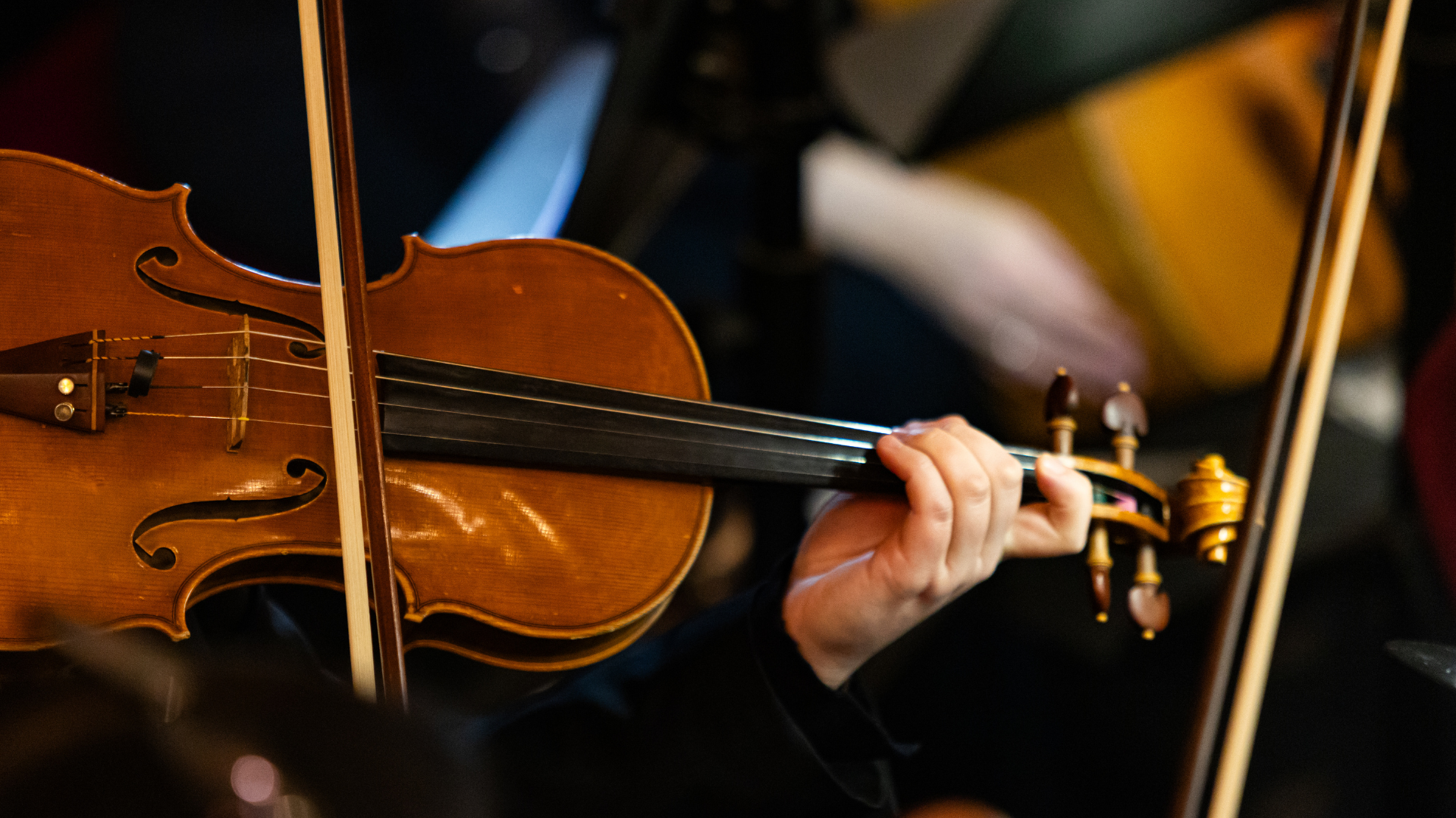 Neue Intendanz für das Brandenburgische Staatsorchester gesucht