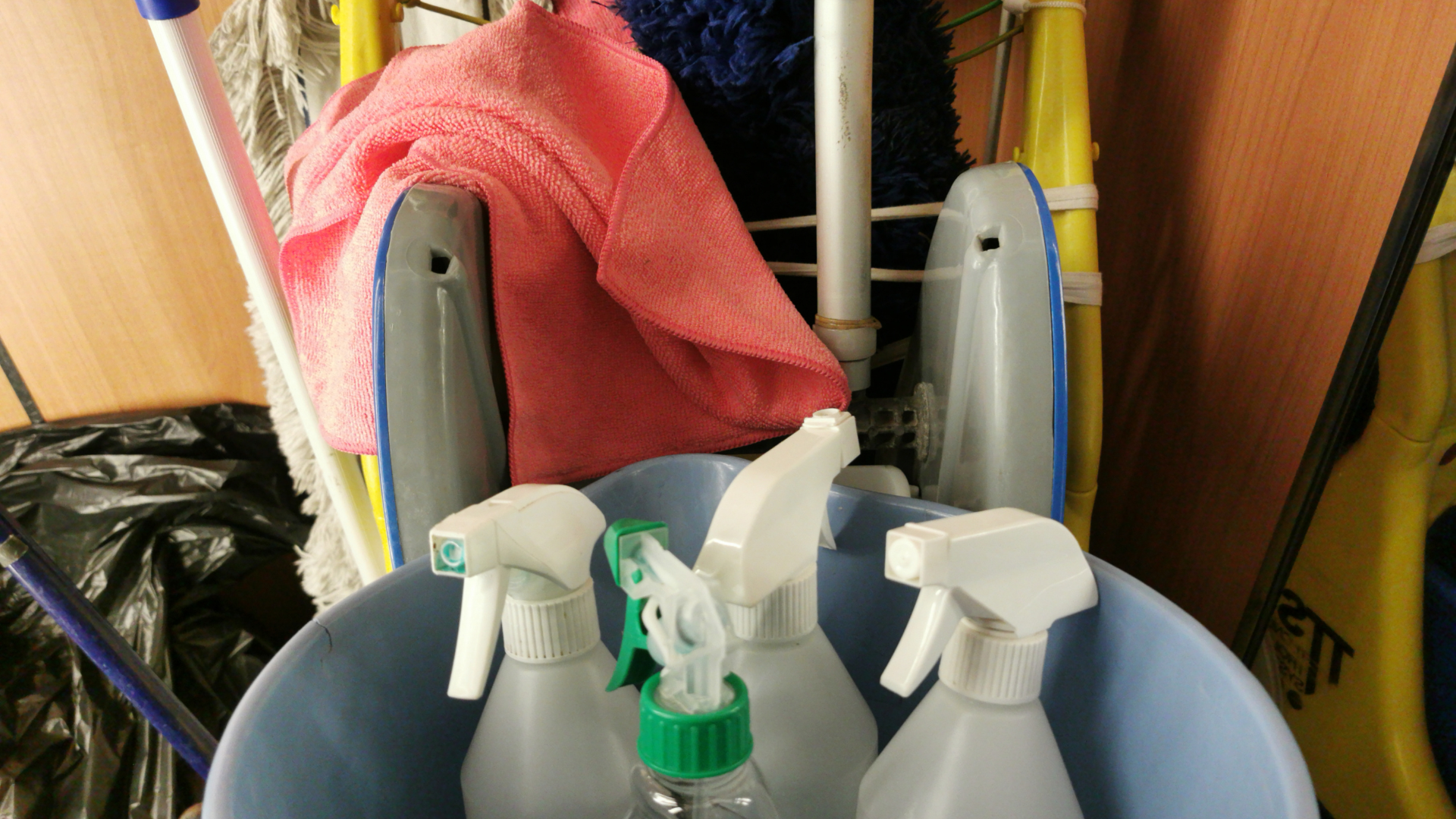 Friedenskirche Frankfurt (Oder): Bürgerinnen und Bürger zum Mithelfen eingeladen