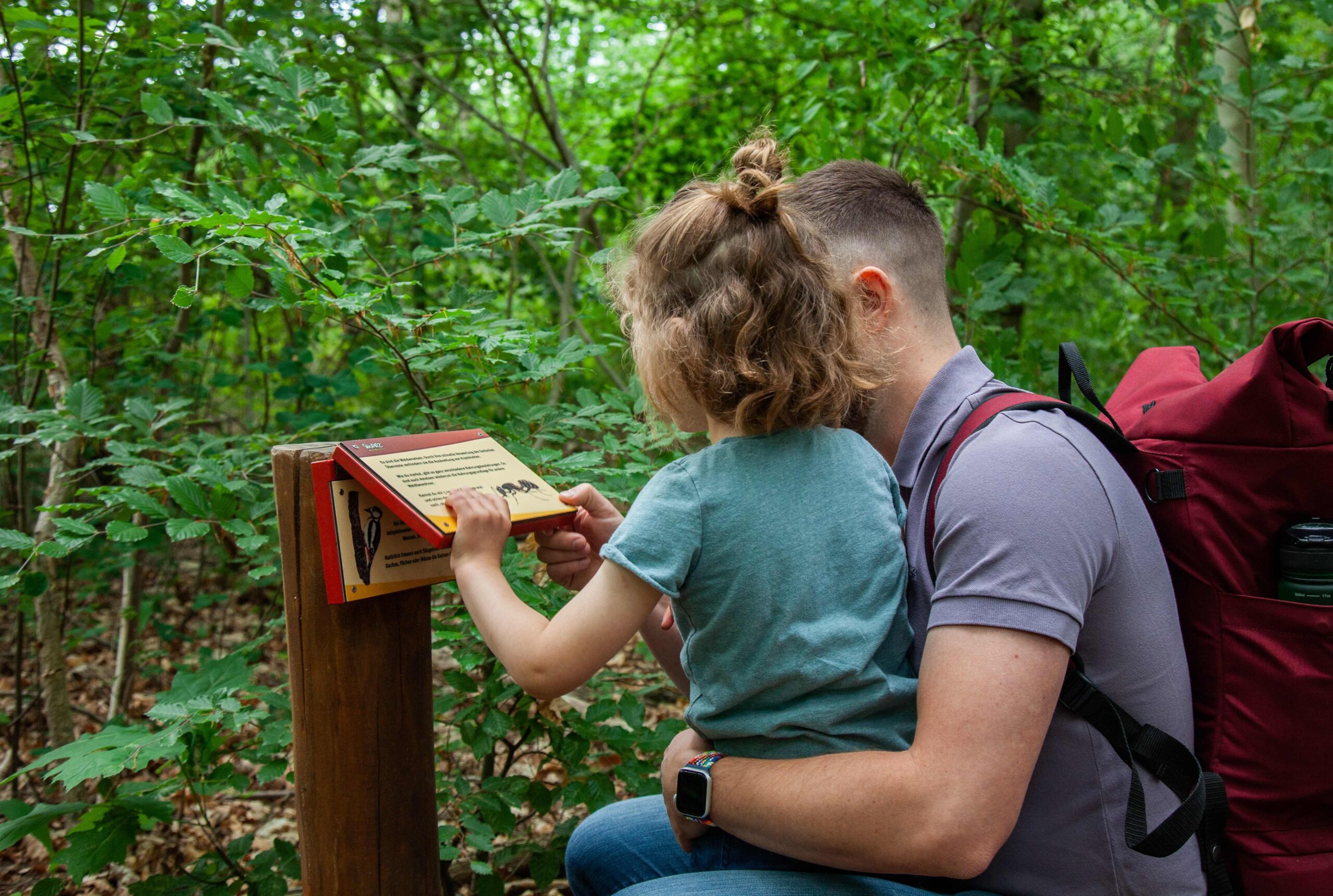 Wupatz‘ Lehrpfad im Löcknitztal mit neuen Infotafeln
