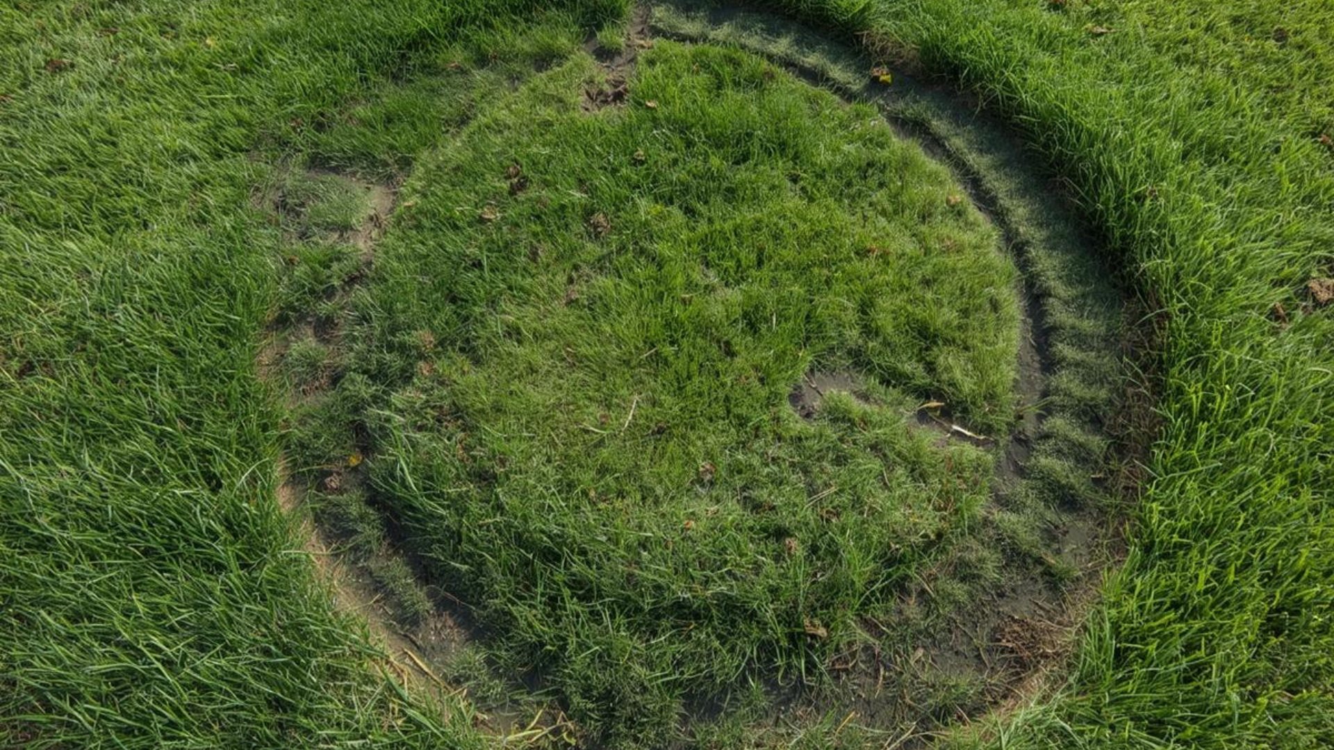 Vandalismus auf dem Ziegenwerder: 18.000 Euro Schaden – Stadt sucht Zeugen