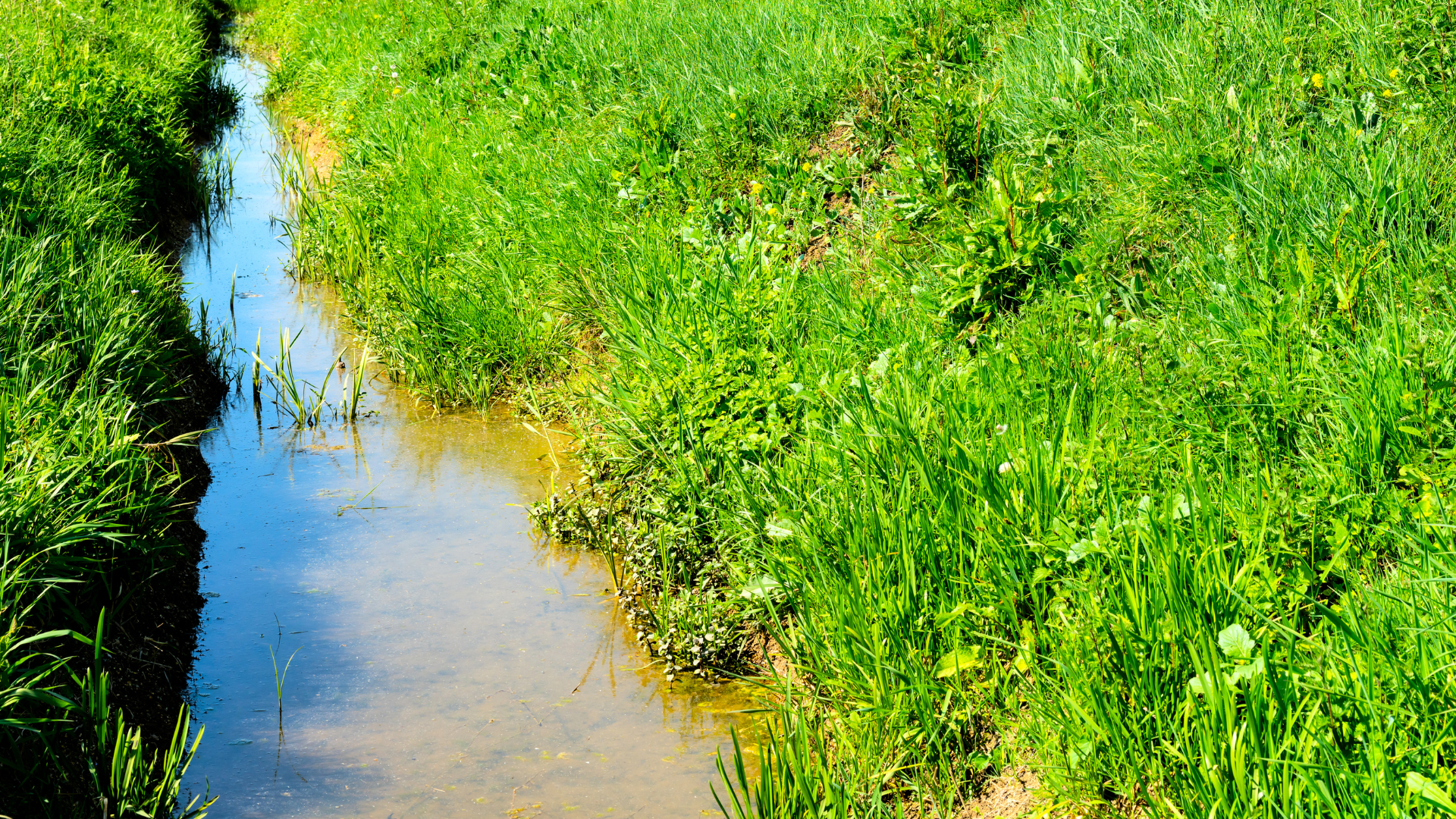 Gewässer- und Deichschau 2026 in Frankfurt (Oder)