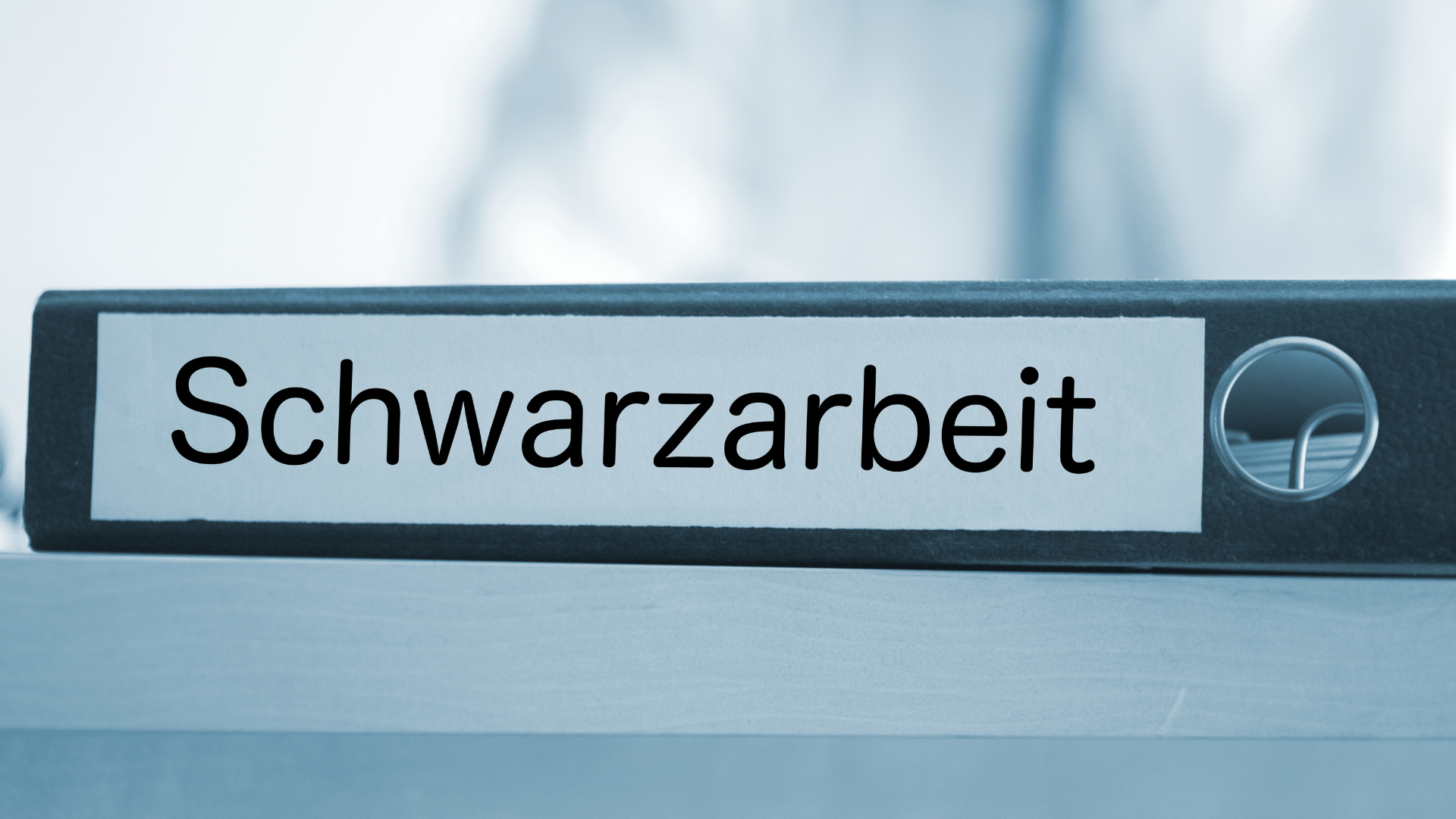 Mit gebündelter Kraft gegen Schwarzarbeit in Brandenburg