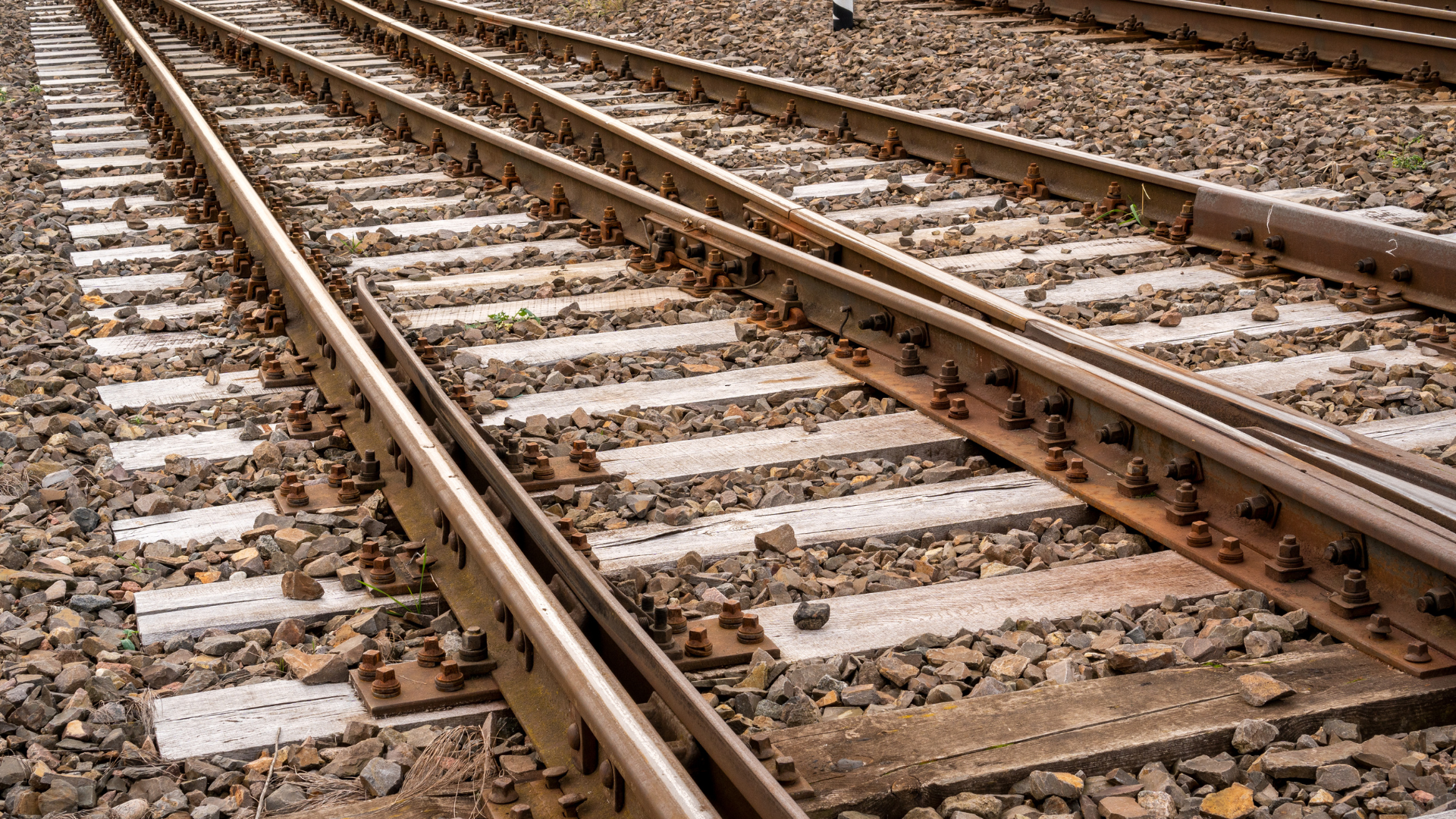 Brandenburg: Sanierung der Bahnstrecke RE1 und bezahlbares Wohnen im Fokus