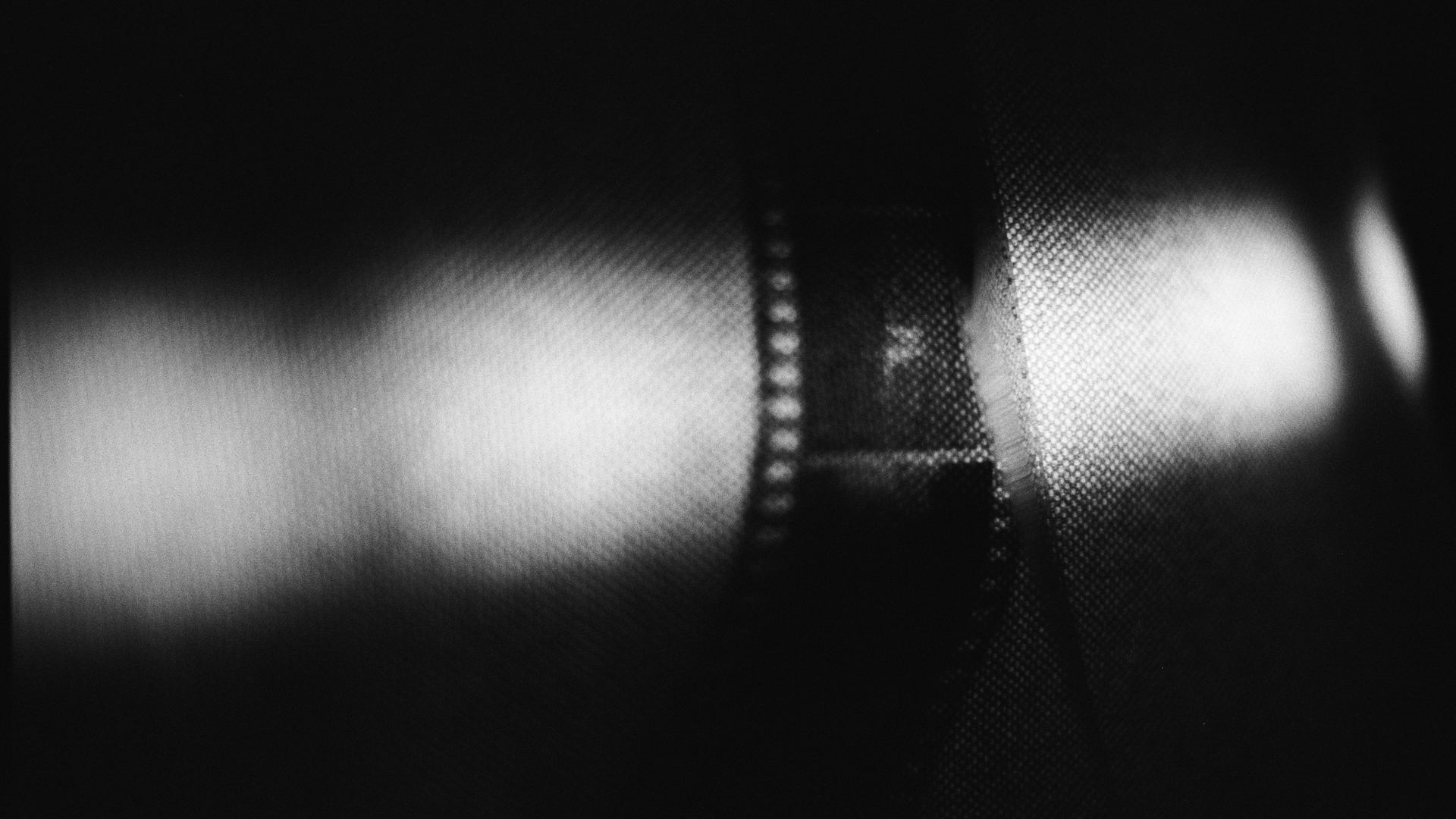 Film ohne Grenzen 2026