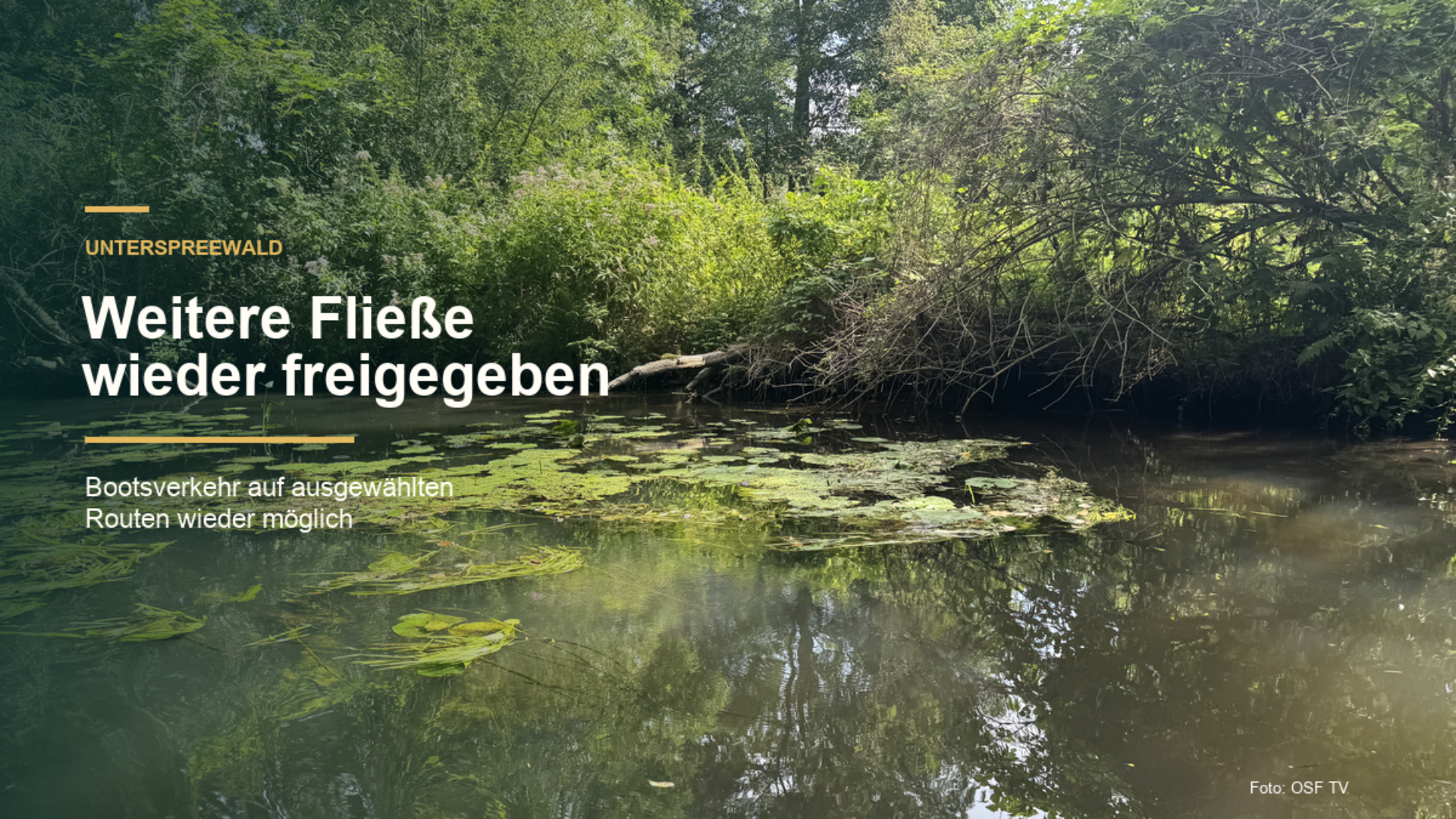 Unterspreewald: Weitere Fließe wieder freigegeben